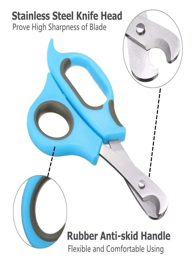 سايج سكوير مقص أظافر على شكل مخلب من سيج سكوير للحيوانات الأليفة، يُستخدم أيضًا كأداة قص أظافر للقطط والقطط الصغيرة (قطعة واحدة) - Image 3